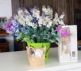 Arranjo de flores e fragrâncias
